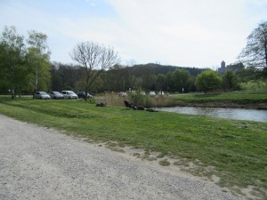 63862b2469b912017_Koenigsfischen_01.jpg